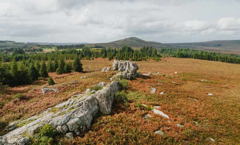 Paysage des Monts d'Arrée